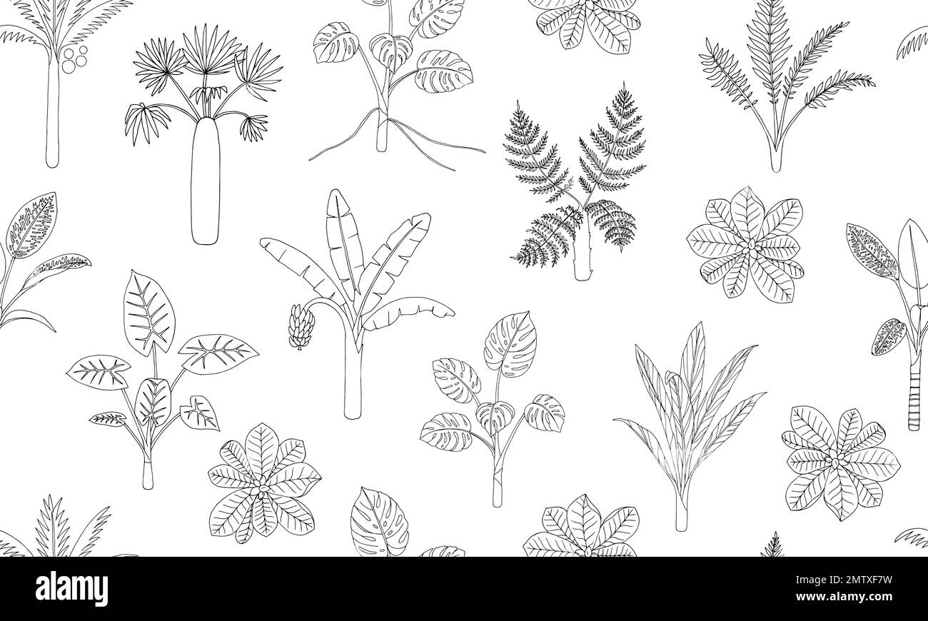 Modello senza giunture di vettore di piante tropicali. Sfondo di ripetizione del fogliame della giungla. Palma disegnata a mano, banana, mostera, dieffenbachia, Terminalia, fe Illustrazione Vettoriale