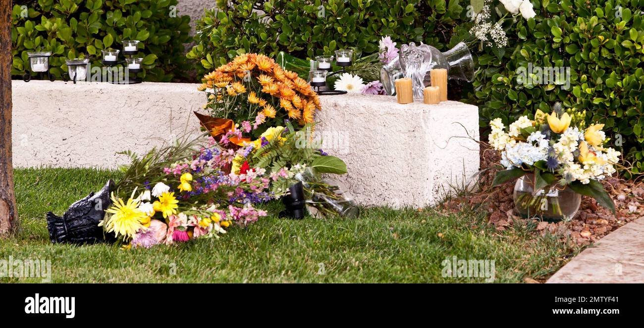 Viste esterne del leggendario attore Tony Curtis' Henderson, Nevada, dove è morto da un arresto cardiaco il 29th settembre. Alcuni vasi e fiori sono stati collocati sul prato anteriore della modesta casa suburbana. Curtis, padre dell'attrice hollywoodiana Jamie Lee Curtis, ha recitato nei film classici di Hollywood 'Some Like IT Hot' e 'Spartacus', ma tragicamente è caduto nell'oscurità dopo aver sofferto di alcolismo e tossicodipendenza. La famiglia di Curtis terrà il suo funerale il 4th ottobre presso il Palm Memorial Park Cemetery di Green Valley, Nevada. Henderson, Nevada. 10/02/10. Foto Stock