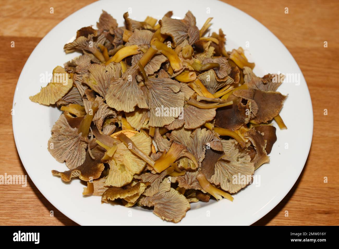 Fresco chantarelle di yellowfoot Craterellus tubaeformis su un piatto bianco Foto Stock