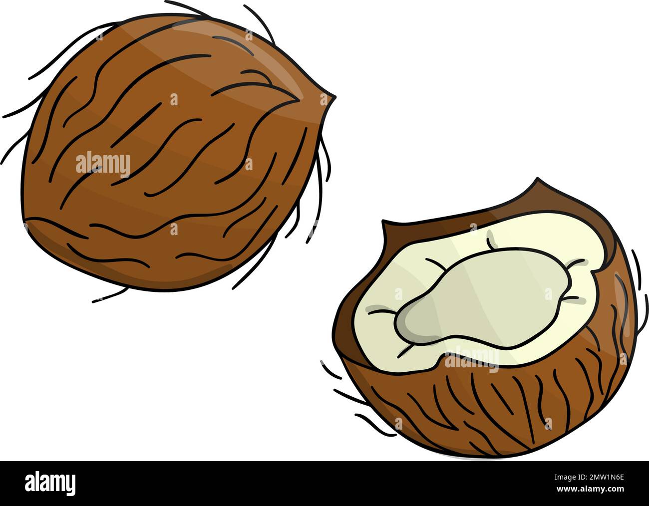 Icona di cocco colorata da vettore. Set di dadi isolati monocromatici. Illustrazione del disegno della linea del cibo in stile cartoon o doodle isolato su sfondo bianco. Illustrazione Vettoriale