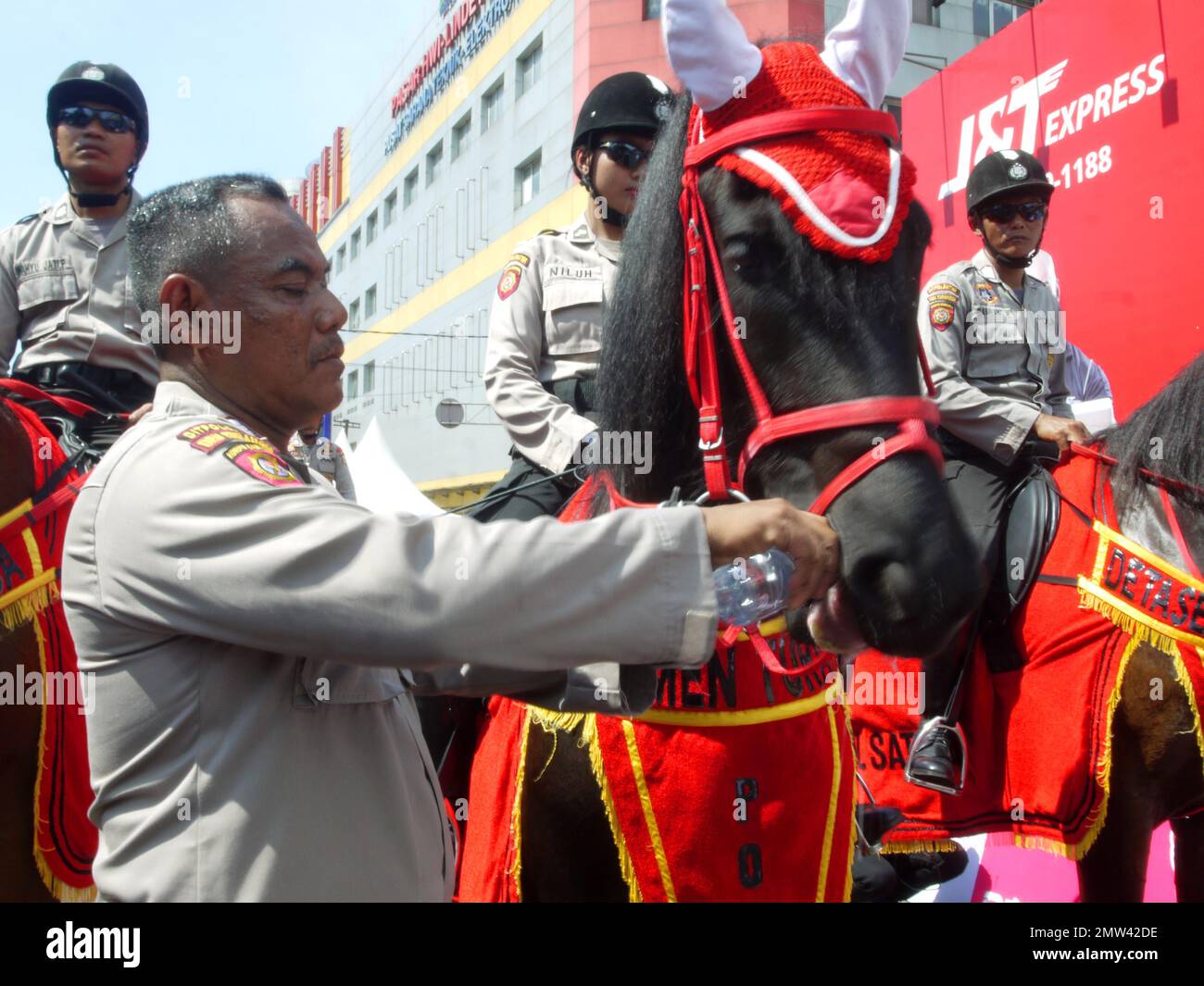 Un poliziotto sta dando una bevanda a un cavallo assetato. Foto Stock