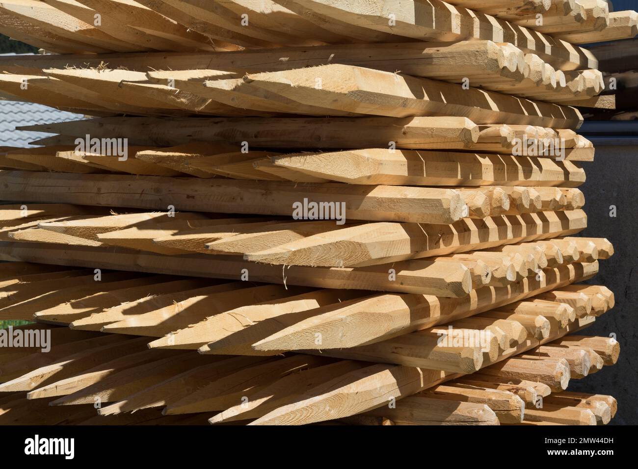 Pali di recinzione di legno Foto Stock