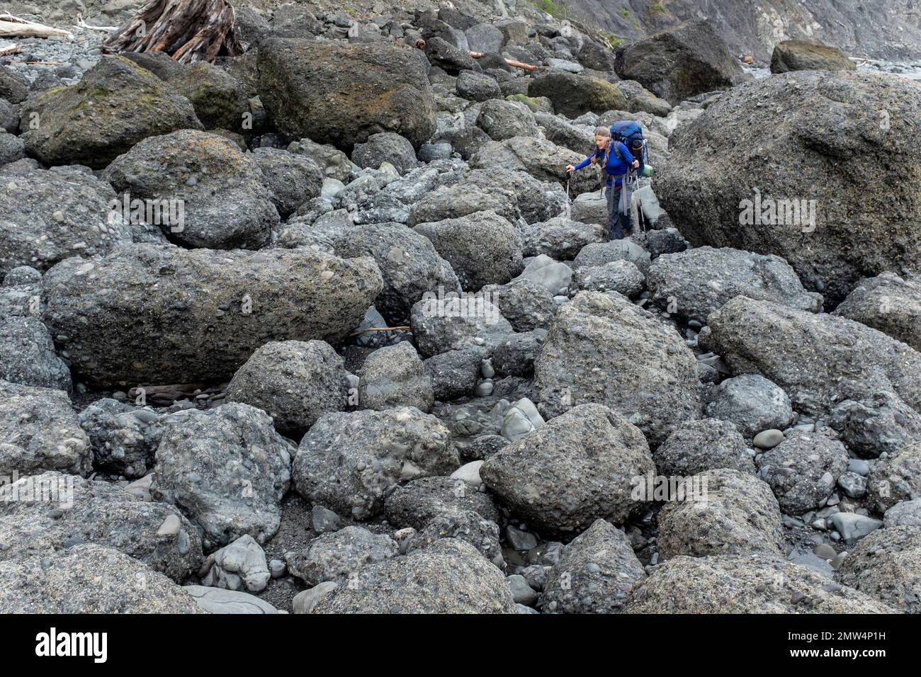 WA20809-00....WASHINGTON - Vicky Spring backpacking lungo la costa rocciosa vicino a Oil City Beach, Parco Nazionale Olimpico. MR N. S1 Foto Stock