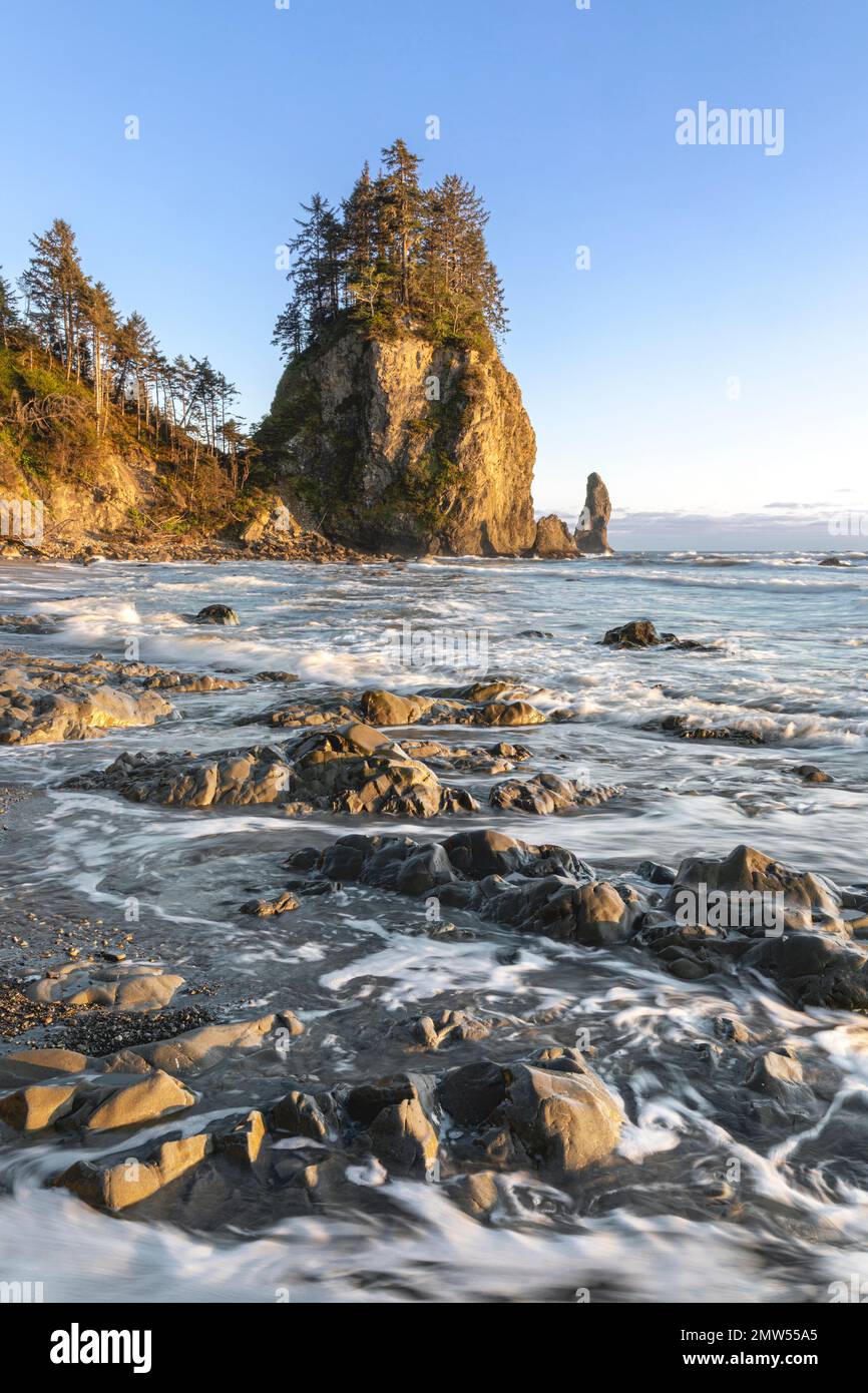 WA20829-00....WASHINGTON - Spiaggia rocciosa e marciapiedi a Mosquito Creek nel Parco Nazionale Olimpico. Foto Stock