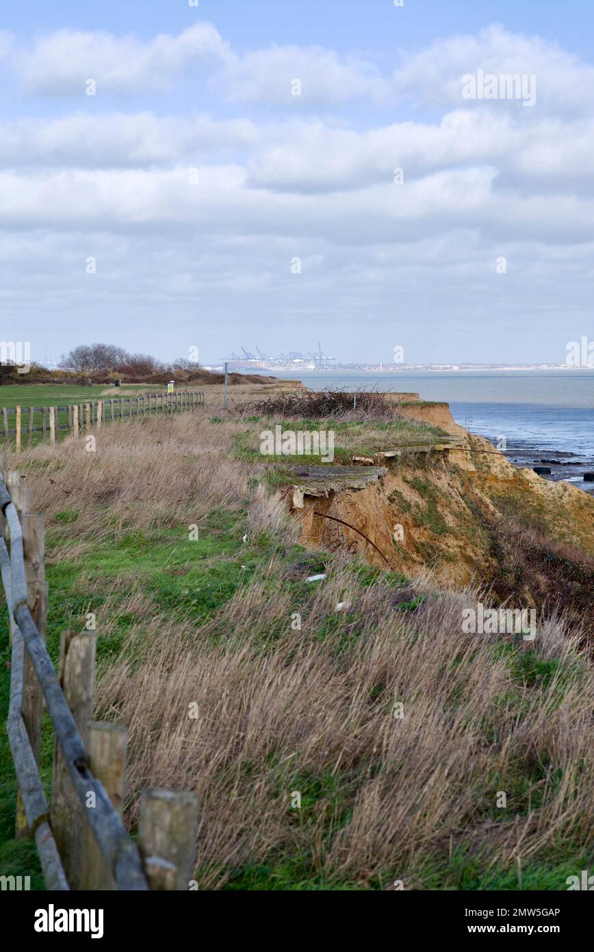 Le scogliere al Naze che sono erose dall'azione marea del mare. Foto Stock