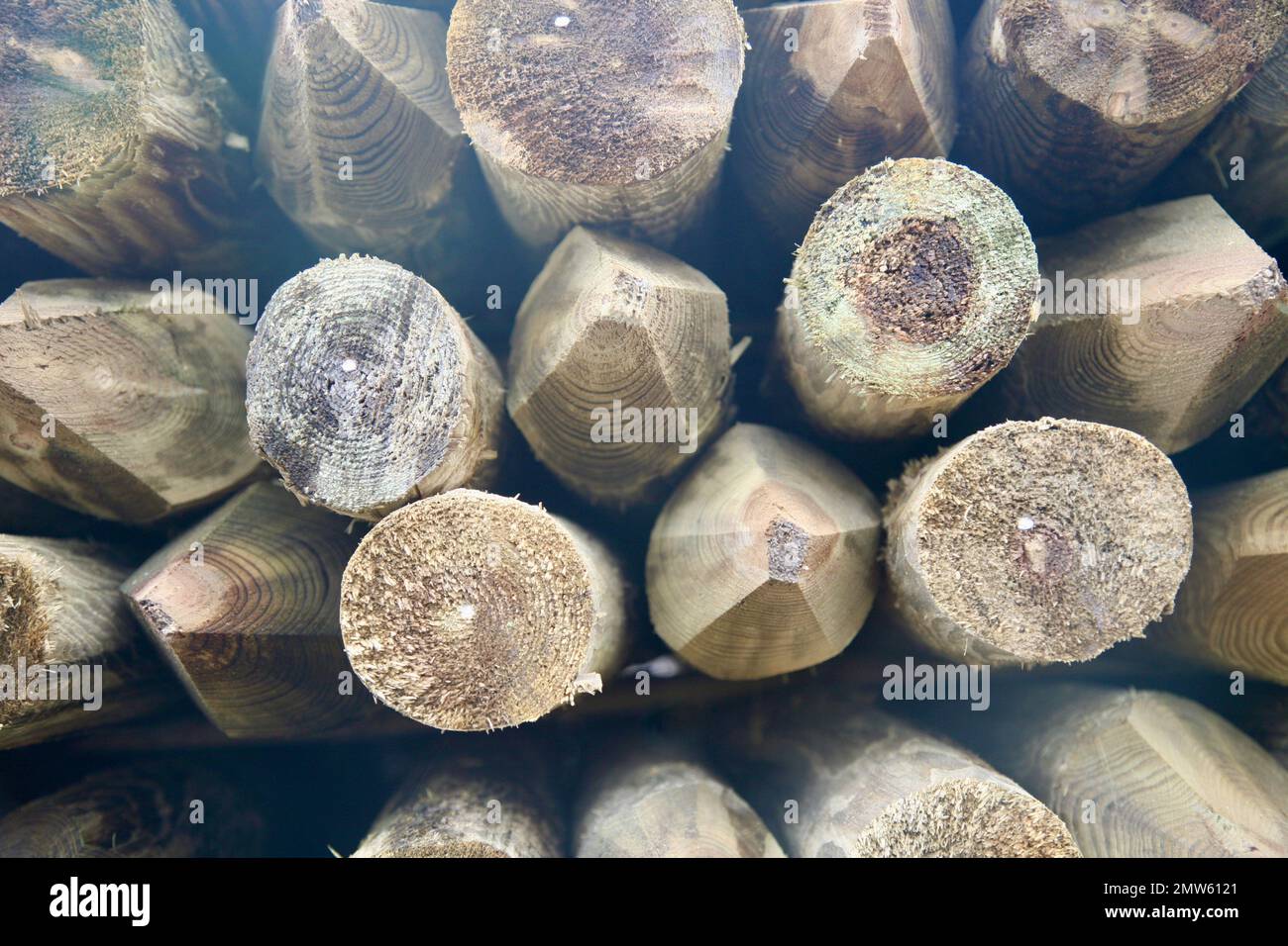 Pali di legno sul retro di un carro, Lancashire, Regno Unito, Europa Foto Stock