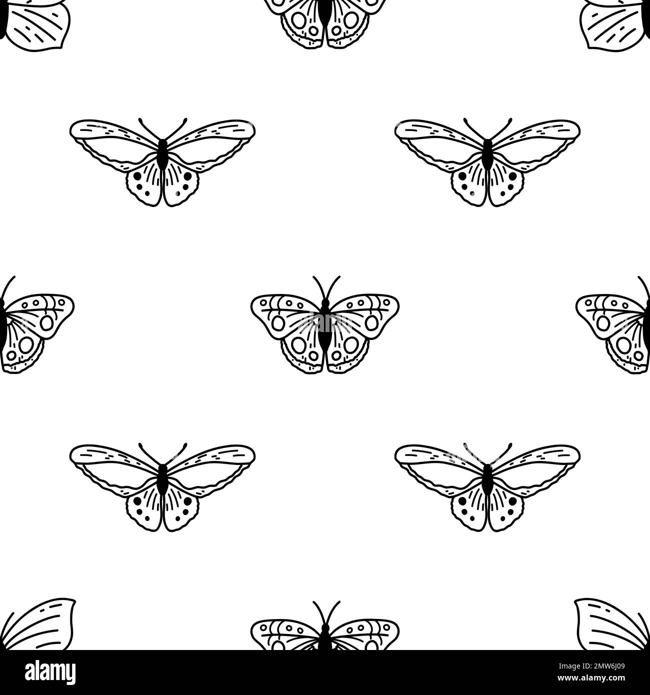 Modello senza cuciture con farfalle di doodle. Sfondo vettoriale disegnato a mano con insetti, illustrazione della linea, raccolta entomologica. Illustrazione Vettoriale