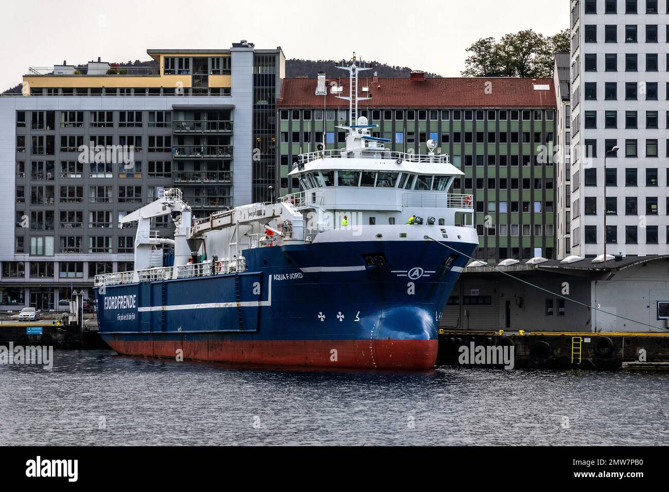 Nave da carico per l'industria ittica (fiskefor) Aqua Fjord al molo di Bergen, Norvegia Foto Stock