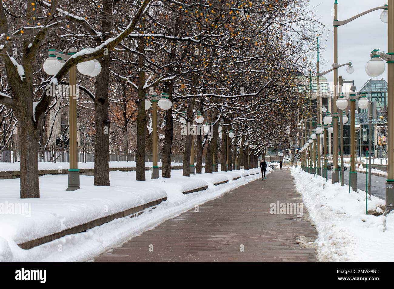 Ottawa, Canada - 23 gennaio 2023: Marciapiede vicino al Major's Hill Park nella stagione invernale. Strada con persona da corsa nella stagione invernale. Sentiero con neve e tre Foto Stock