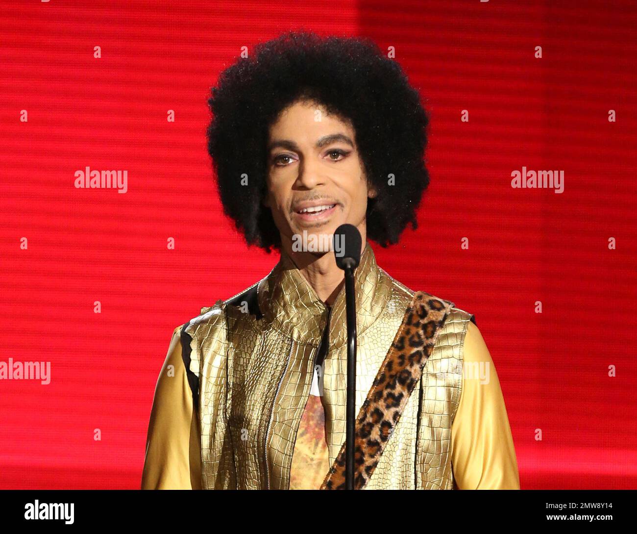 FILE - In this Nov. 22, 2015 file photo, Prince presents the award for ...