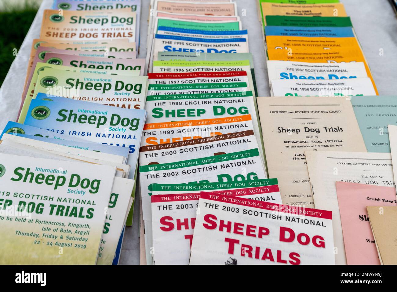 Processi nazionali scozzesi con cani da pastore Foto Stock Processi nazionali scozzesi con cani da pastore Foto Stock