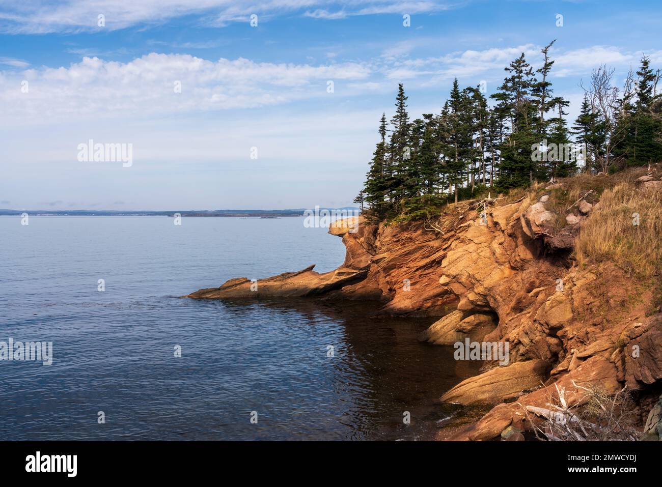 Scogliere di arenaria rossa sulla riva vicino a Dipper Harbor, New Brunswick, Canada. Foto Stock