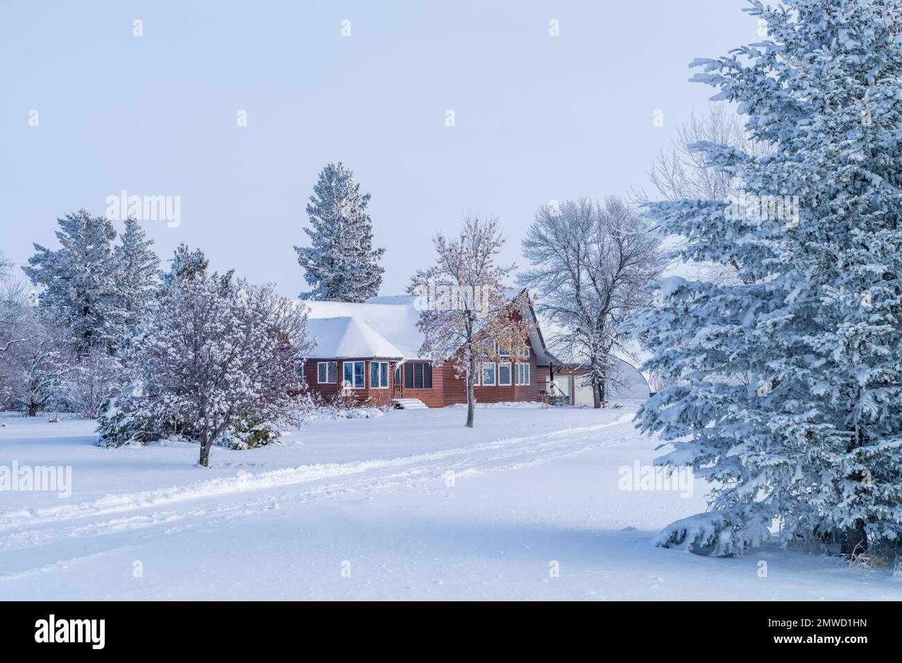 Una scena invernale con brina e casa vicino Neubergthal, Manitoba, Canada. Foto Stock