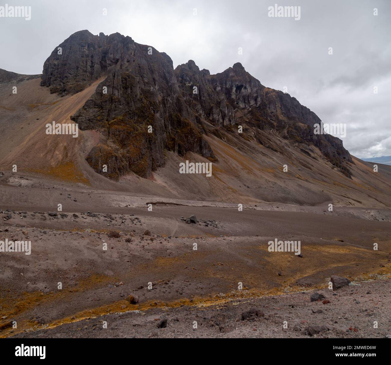 Paesaggio andino, banchi di sabbia, roccia, muschio e lichene e alta vegetazione ai piedi di Cotopaxi e Morurco Foto Stock