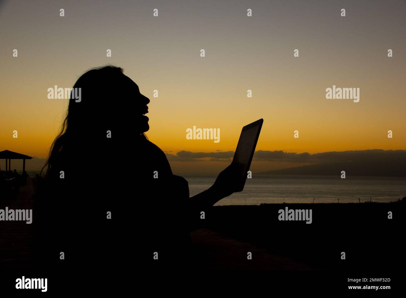 Silhouette di una donna d'affari sorridente che lavora con un tablet al tramonto. Copia spazio a destra Foto Stock