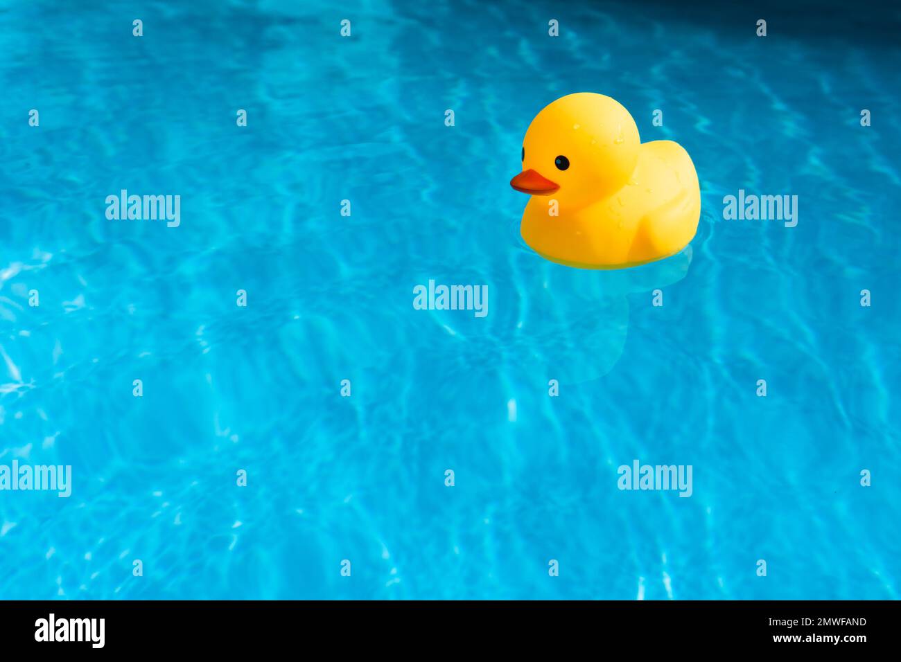 Primo piano di un giocattolo d'anatra di gomma gialla in piscina Foto Stock
