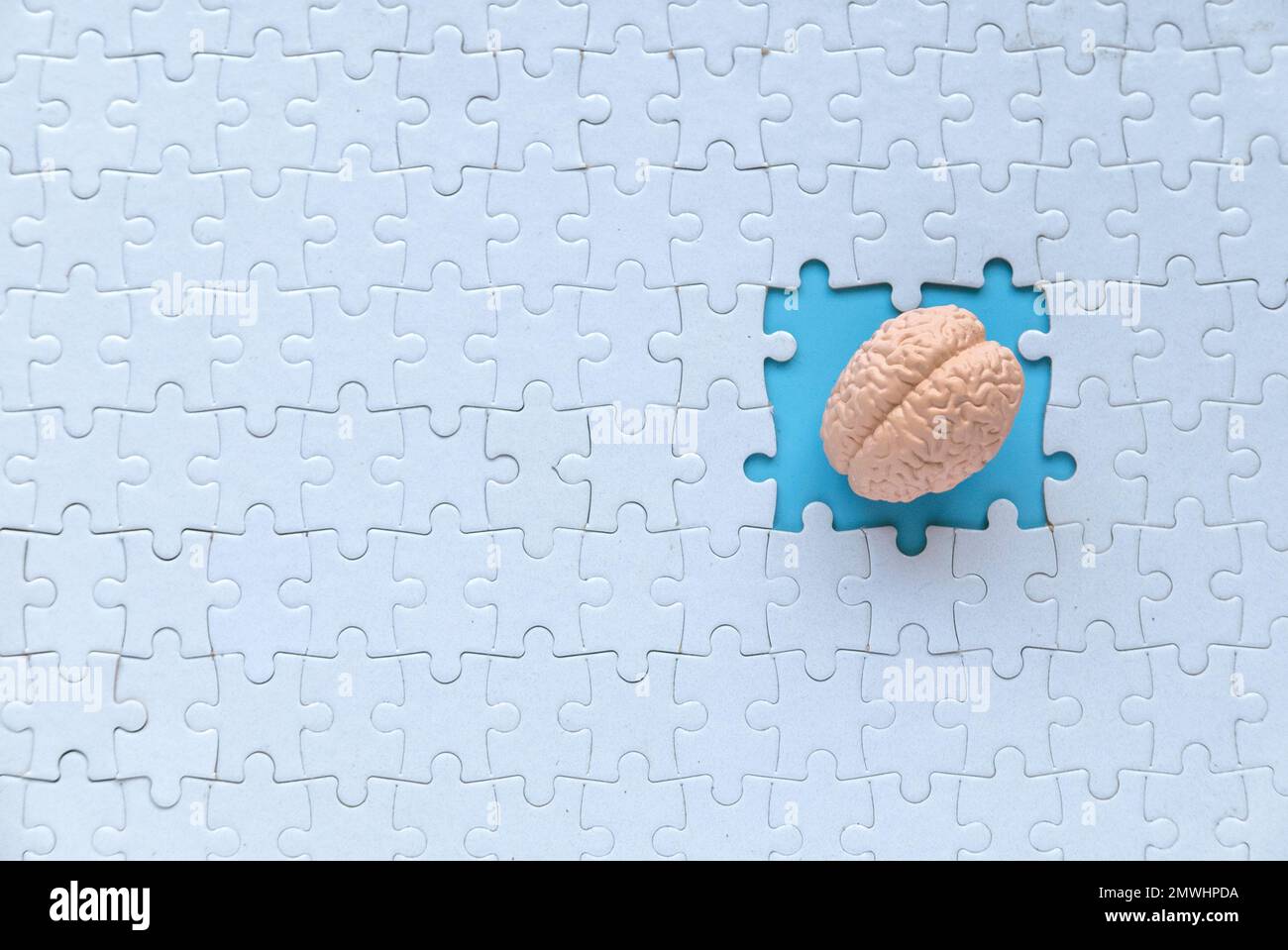 Concetto di autismo, perdita di memoria, demenza e Alzheimer consapevolezza, giornata mondiale della salute mentale. modello di cervello all'interno di un pezzo mancante di puzzle. Foto Stock