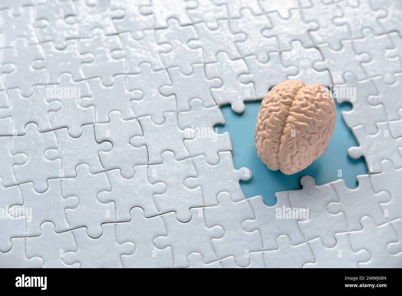 Concetto di autismo, perdita di memoria, demenza e Alzheimer consapevolezza, giornata mondiale della salute mentale. modello di cervello all'interno di un pezzo mancante di puzzle. Foto Stock