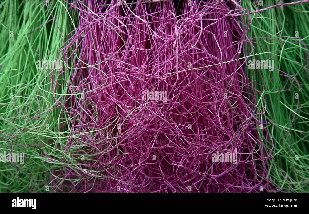 Trama Di Una Broa di plastica, presa da Una vista ravvicinata Foto Stock