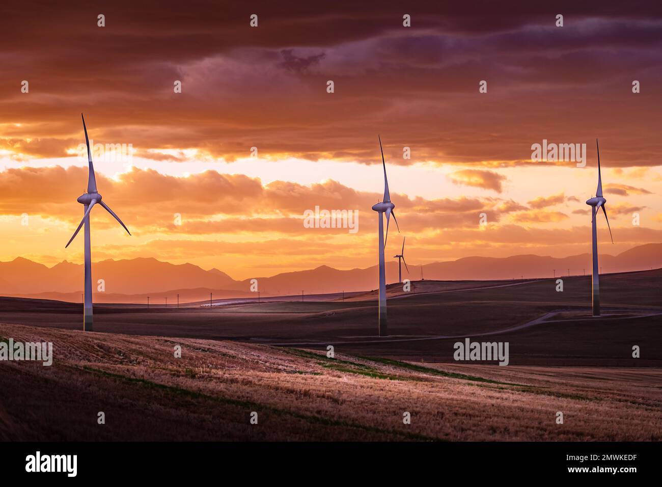 Mulini a vento al tramonto che generano elettricità che si affaccia su montagne lontane su campi agricoli vicino a Pincher Creek Alberta Canada. Foto Stock