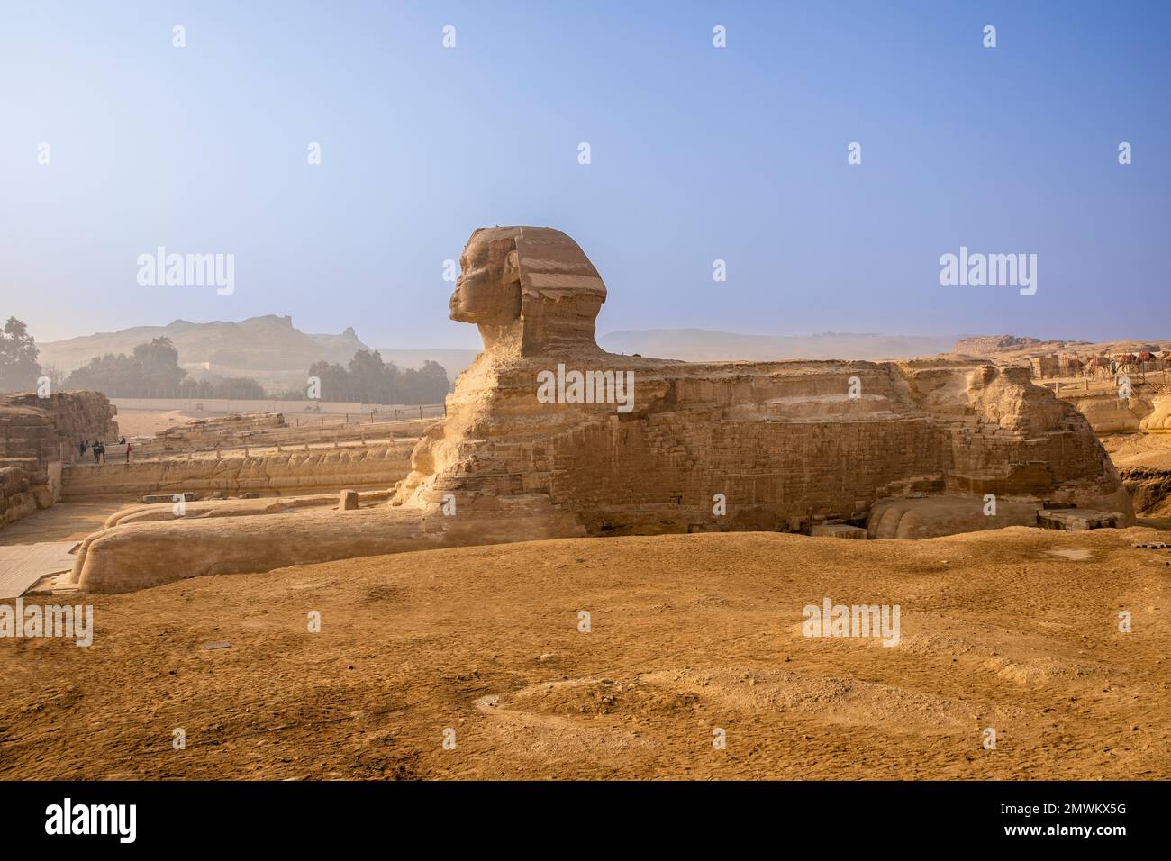 La Grande Sfinge di Giza di fronte alla Grande Piramide di Khufu, il Cairo, Egitto Foto Stock