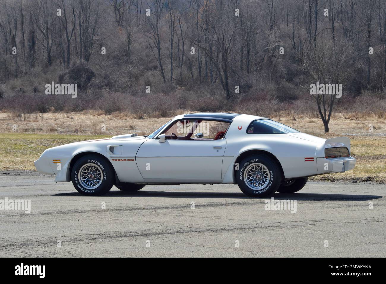 Bianco 1979 Pontiac Trans am in una vista di tre quarti posteriore contro gli alberi invernali in sole luminoso. Foto Stock