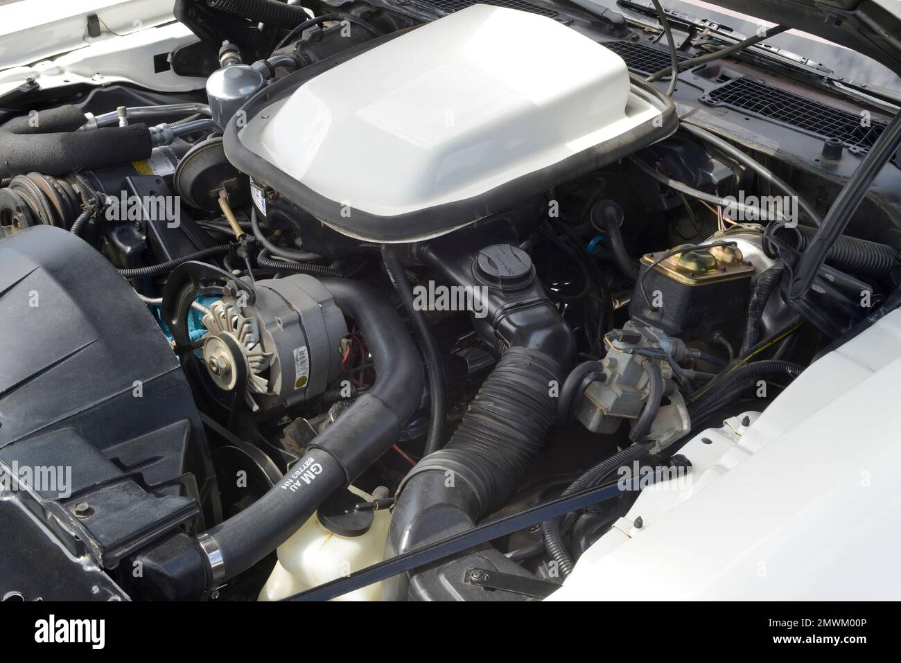 Il 301 V-8 in un 1979 Pontiac Trans Am Foto Stock