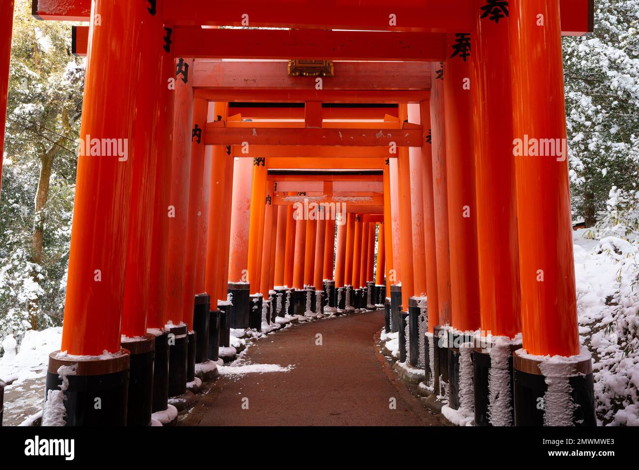 Fushimi Inari-taisha Torii Gates con neve sul tetto in inverno. Kyoto, Giappone. Foto Stock