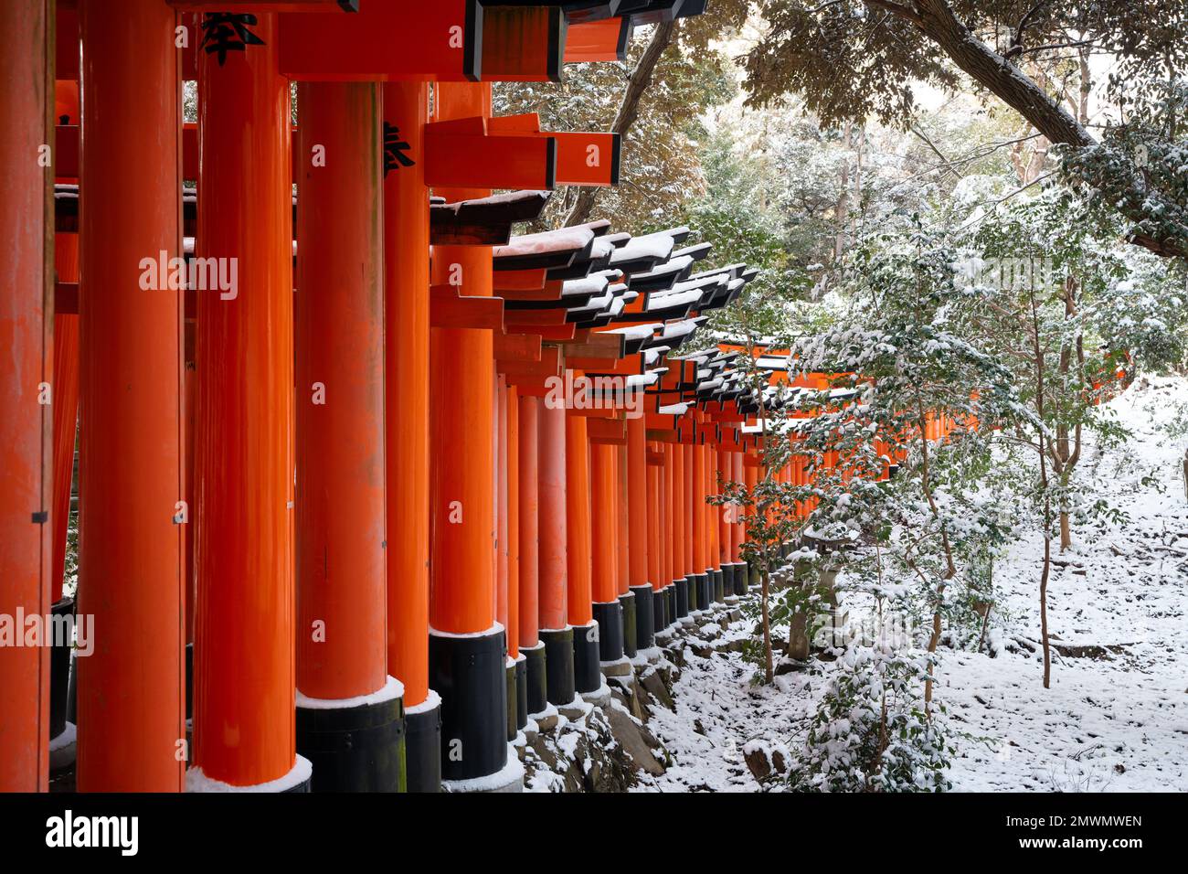 Fushimi Inari-taisha Torii Gates con neve sul tetto in inverno. Kyoto, Giappone. Foto Stock