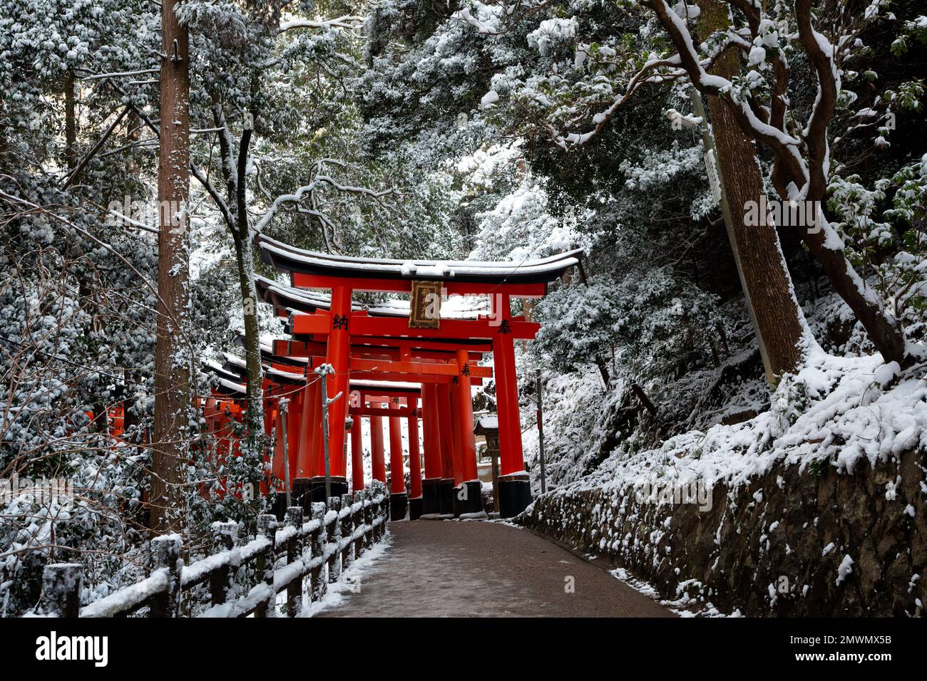 Fila innevata di porte torii rosse al Santuario di Fushimi Inari-taisha in inverno. Kyoto, Giappone. Foto Stock