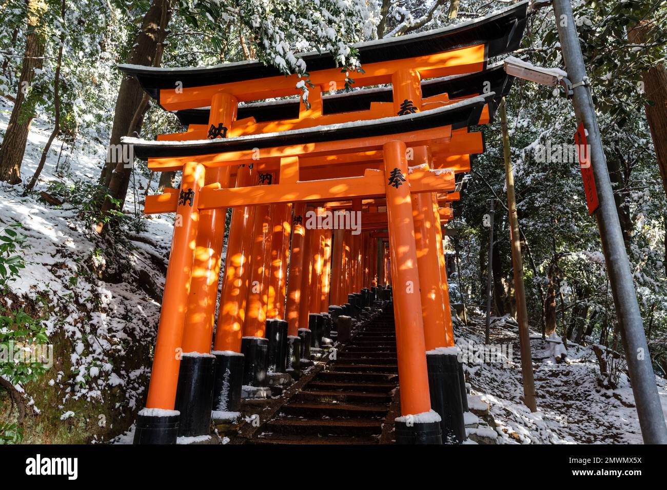 Fushimi Inari-taisha Torii Gates con neve sul tetto in inverno. Kyoto, Giappone. Foto Stock