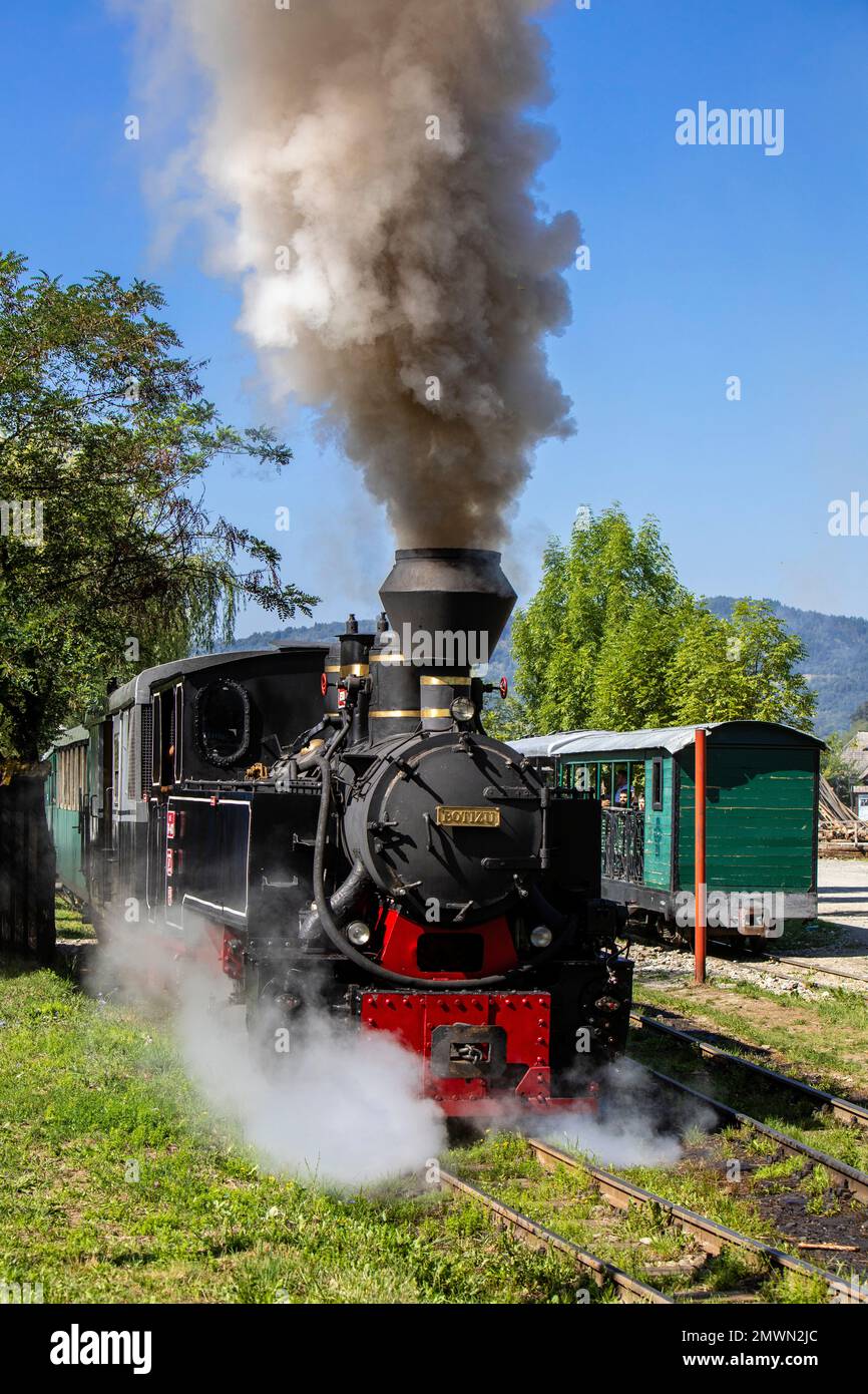 Locomotiva a vapore Mocanita di Viseu de Sus, Carpazi, Romania Foto Stock