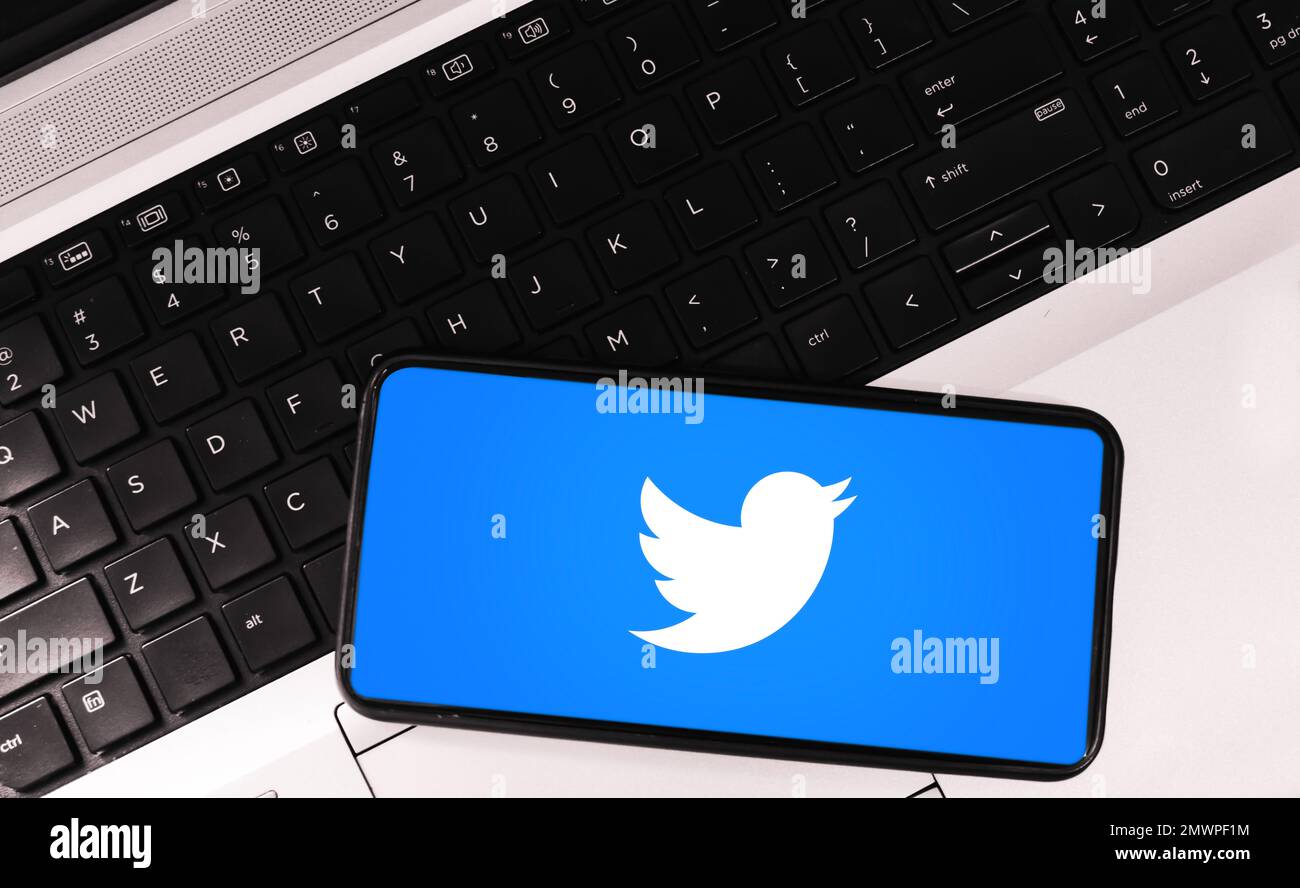 30,1, Pakistan. Applicazione mobile Social Media con sfondo editoriale di Bird Sign. Sfondo editoriale di Twitter Foto Stock