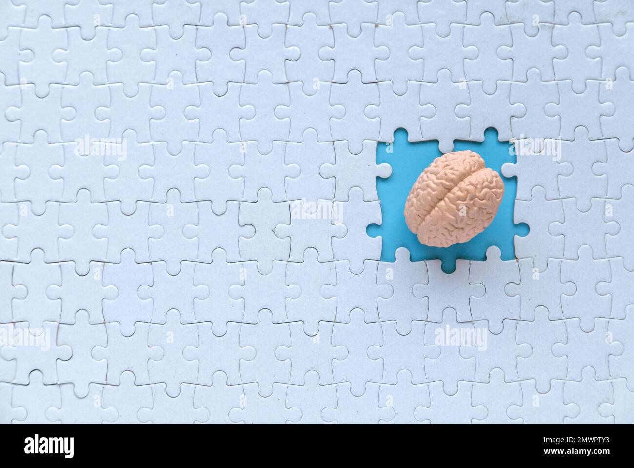 Concetto di autismo, perdita di memoria, demenza e Alzheimer consapevolezza, giornata mondiale della salute mentale. modello di cervello all'interno di un pezzo mancante di puzzle. Foto Stock