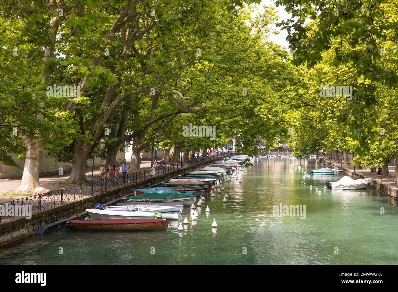 Vista del Canal de Vassé, Annecy, Francia Foto Stock