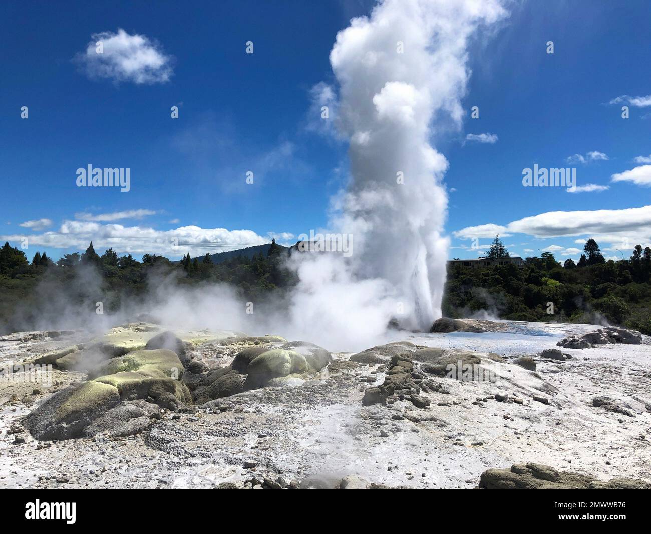 Titolo Rotorua geotermia sorgente termale geyser erutting e piscine di fango termale., Isola del Nord, Nuova Zelanda Foto Stock