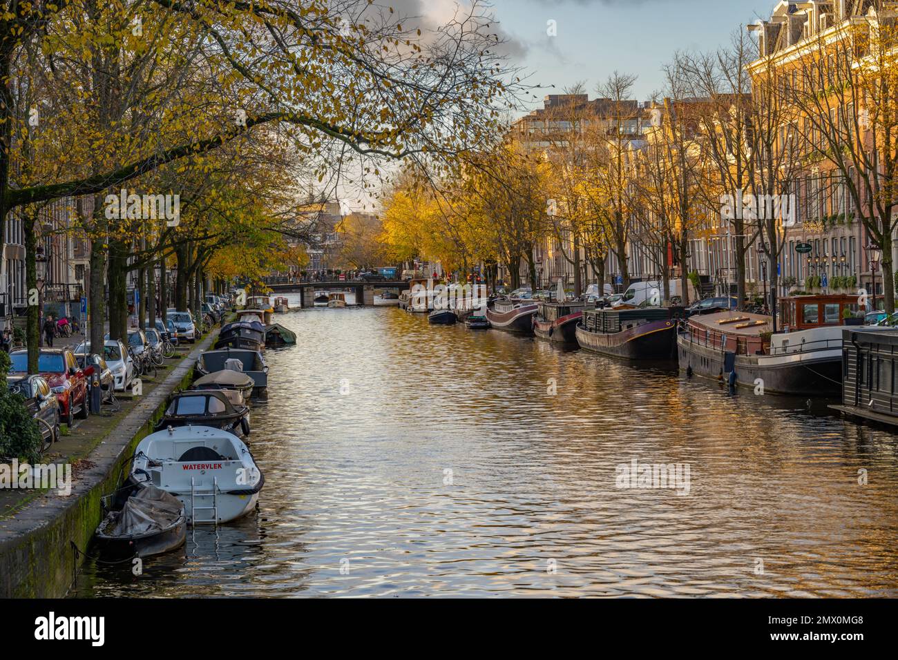 Edifici lungo il canale Prinsengracht dal ponte Reguliersgracht in autunno ad Amsterdam Foto Stock