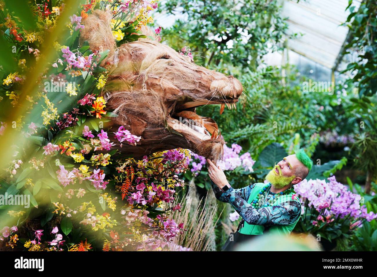L'orticoltore Kew Henrick Röling partecipa a una mostra ispirata al leone al Festival delle orchidee a tema Camerun, all'interno del Conservatorio Princess of Wales presso i Royal Botanic Gardens di Kew, nella zona ovest di Londra. Data immagine: Giovedì 2 febbraio 2023. Foto Stock