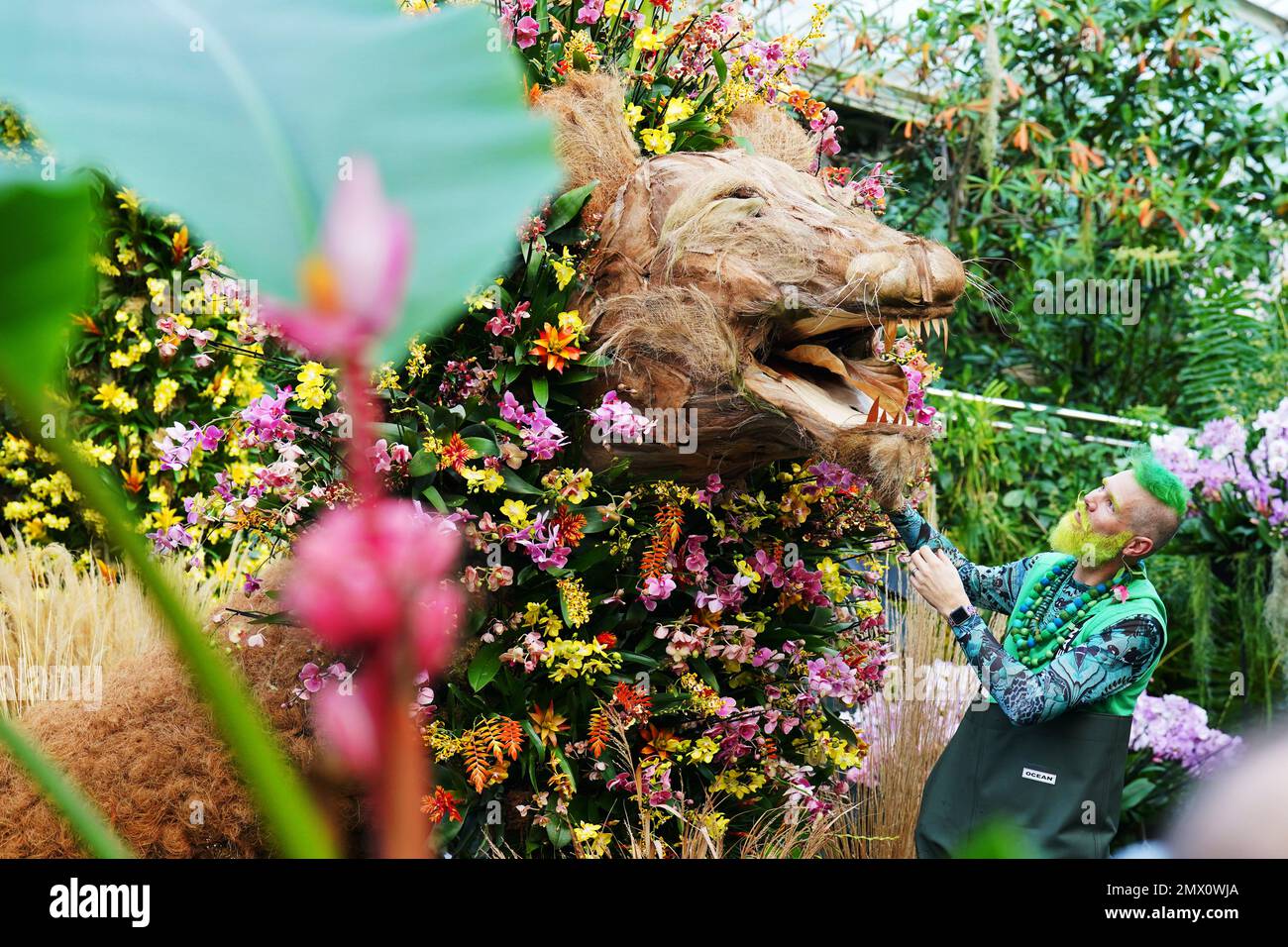 L'orticoltore Kew Henrick Röling partecipa a una mostra ispirata al leone al Festival delle orchidee a tema Camerun, all'interno del Conservatorio Princess of Wales presso i Royal Botanic Gardens di Kew, nella zona ovest di Londra. Data immagine: Giovedì 2 febbraio 2023. Foto Stock