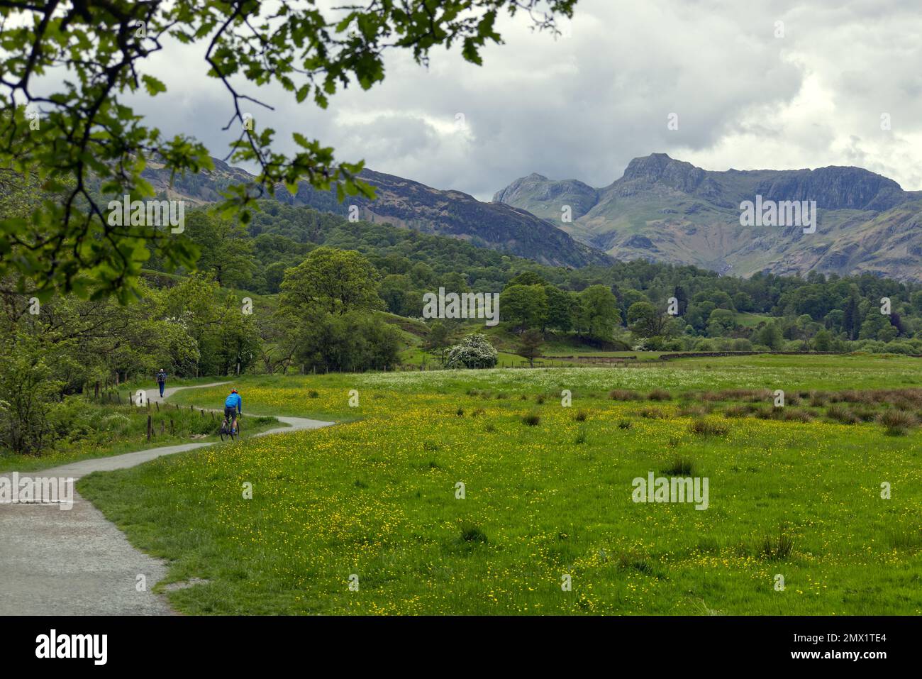 Lake District, Cumbria, Inghilterra, UK - ciclista e jogger sul sentiero lungo la riva del fiume Brathay tra Elterwater Village e Elter Water Foto Stock