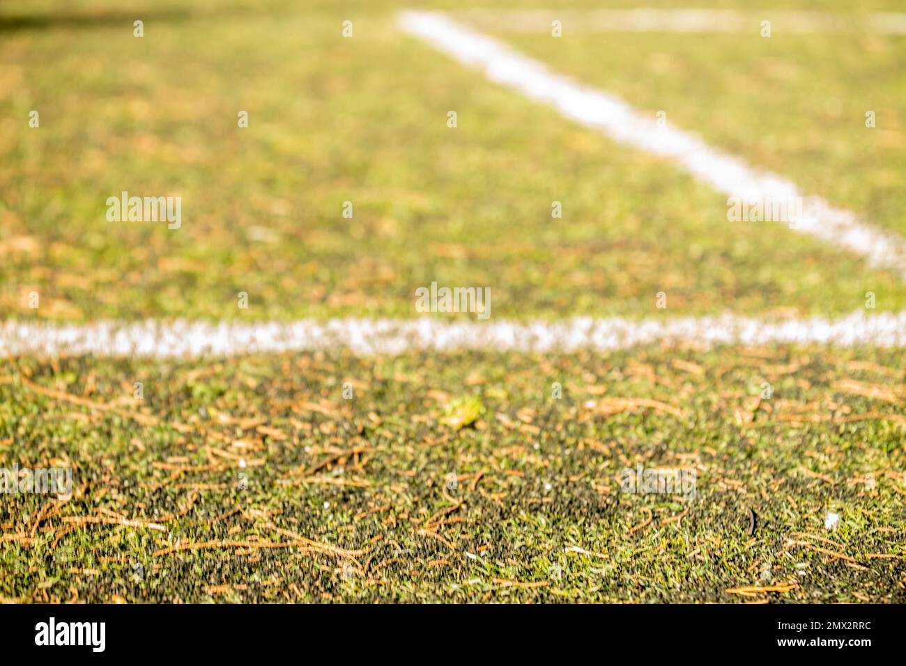 calcio immagine di borsa. immagine disfocalizzata, gioco di movimento su erba artificiale Foto Stock