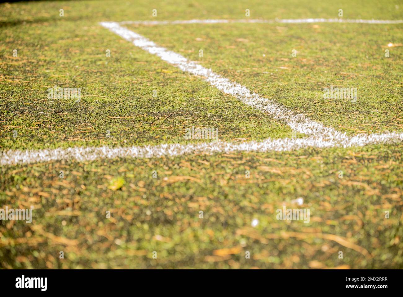 calcio immagine di borsa. immagine disfocalizzata, gioco di movimento su erba artificiale Foto Stock