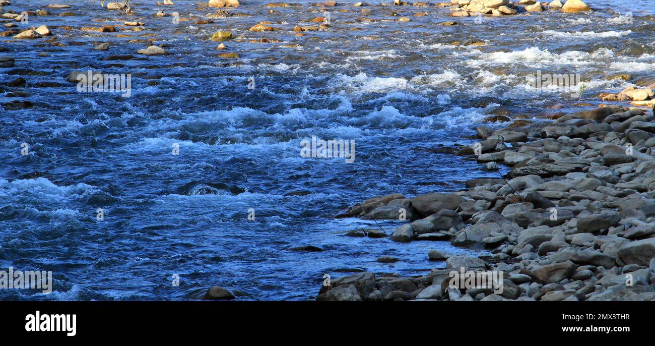Demolitori d'acqua sulla superficie del fiume tra le rive rocciose Foto Stock