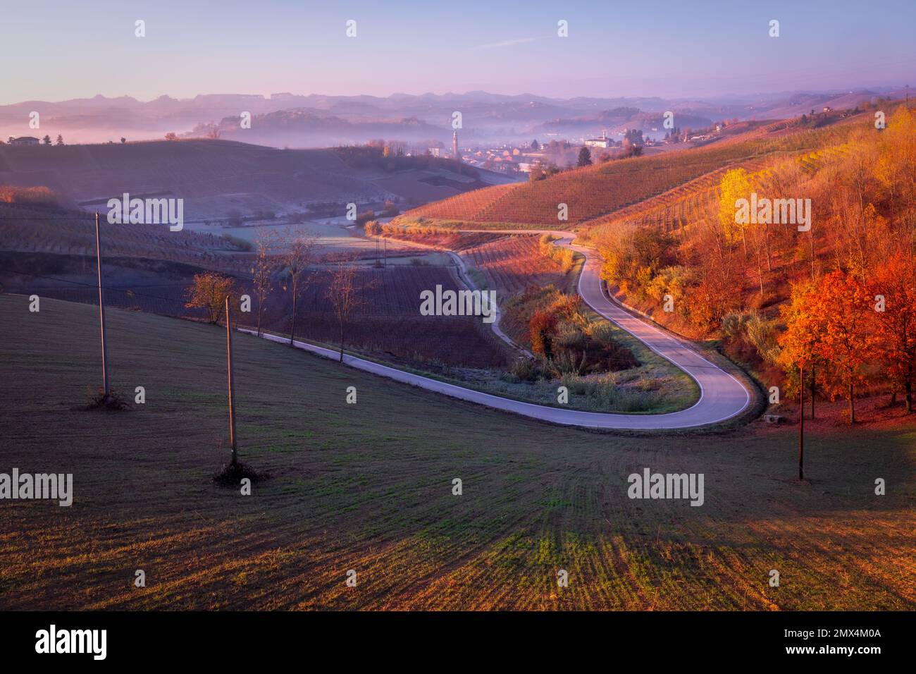 Strada curva attraverso paesaggi collinari al tramonto nei pressi di Canale, Piemonte, Italia Foto Stock