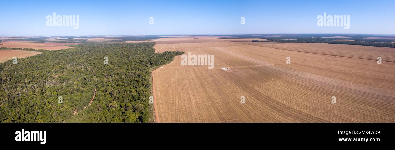 Vista aerea panoramica del drone della deforestazione illegale amazzonica, Mato Grosso, Brasile. Alberi di foresta e terreno agricolo. Concetto di cambiamento climatico. Foto Stock