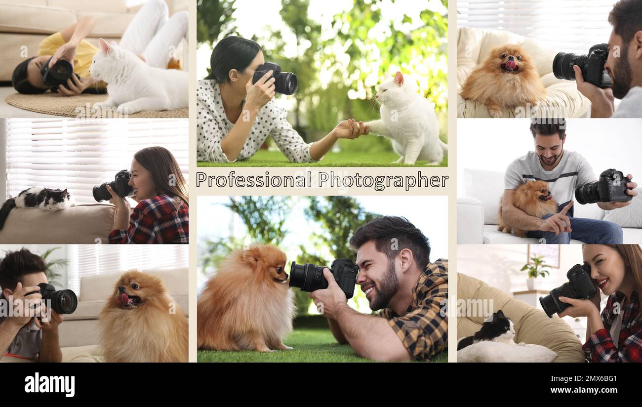 Collage di fotografi di animali professionisti che scattano foto Foto Stock