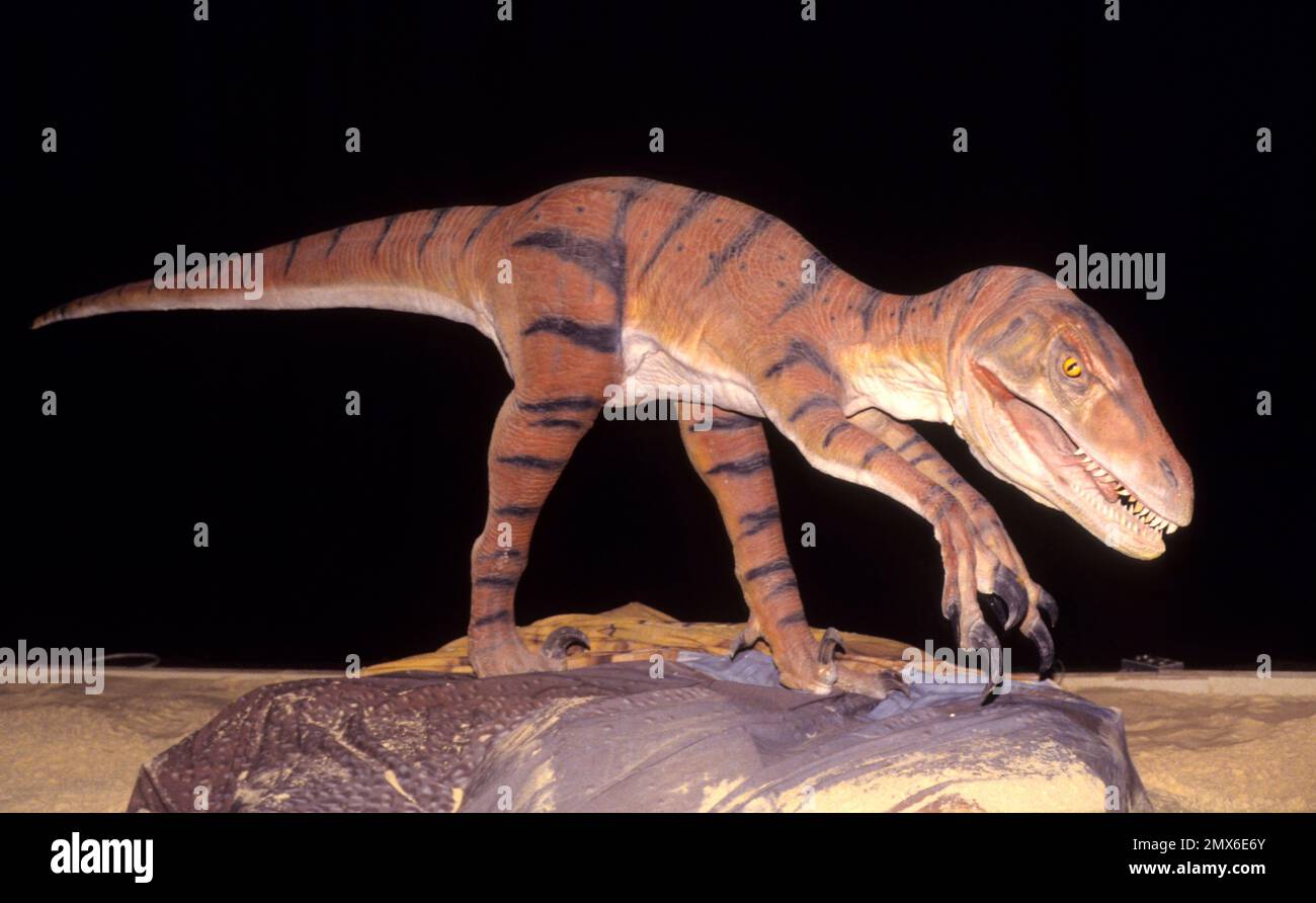 Dinosauri animatronici a grandezza naturale della società americana Dinamation Corp esposti al ‘Dinosaurs Alive!’ Mostra all'Alexandrea Palace Delight visi Foto Stock