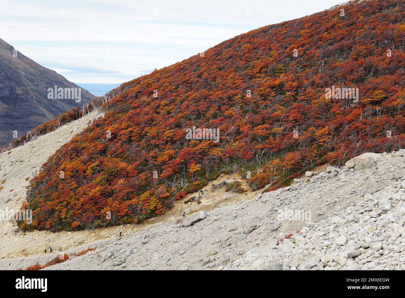 La Patagonia Chilena Foto Stock
