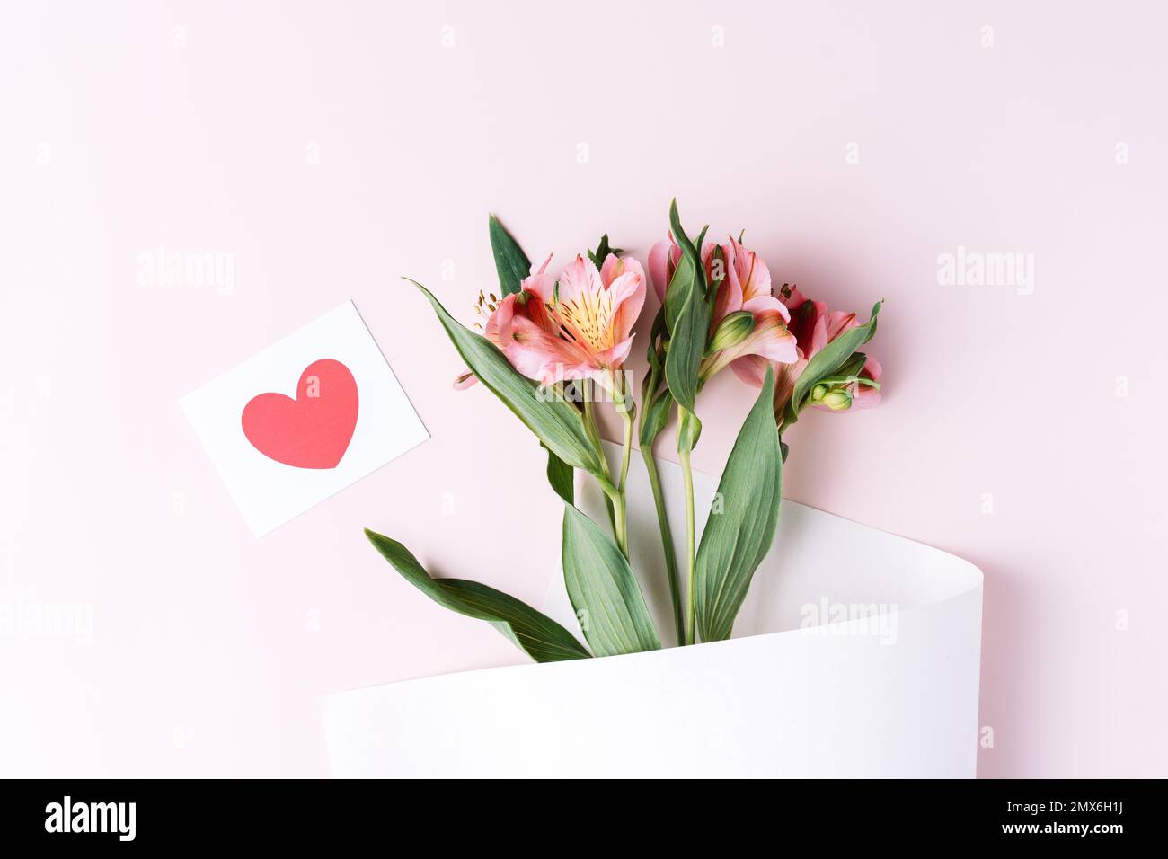 Alstroemeria in confezione di carta con cartolina su fondo rosa Foto Stock
