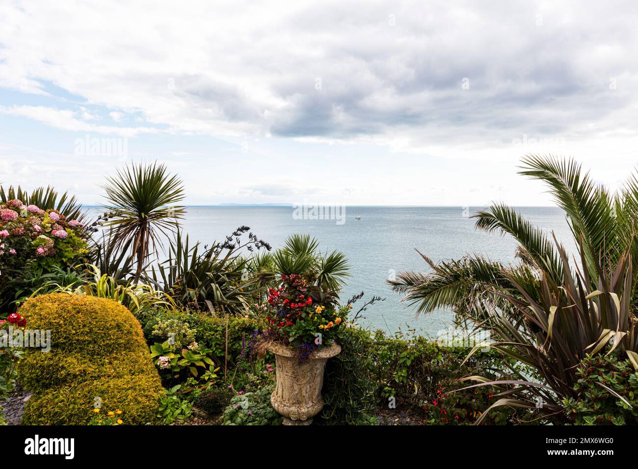 Oceano Atlantico, Tenby, Pembrokeshire, Galles, clima mediterraneo, Felci, piante, mare, oceano, Atlantico, Tenby Wales, Tenby UK, tranquillo, Foto Stock
